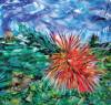 Nuraghi Brush Bloom - 2016 