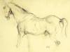 Horse side view, 1972