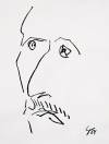 Sen's perspective on Vincent van Gogh