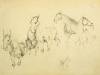 Group of horses, 1973